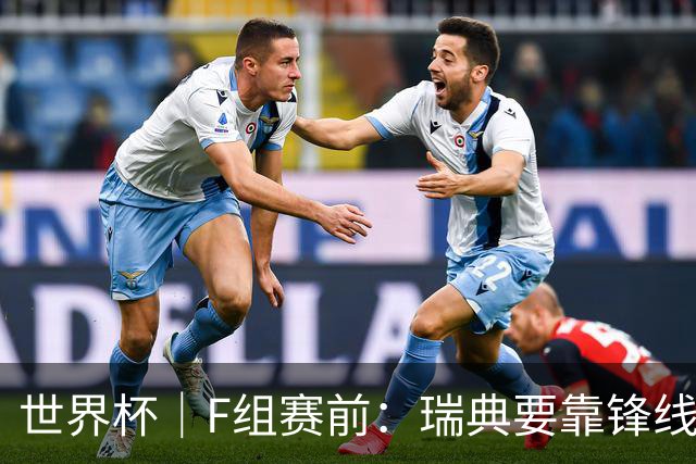 世界杯｜F组赛前：瑞典要靠锋线双星 突尼斯欲出线